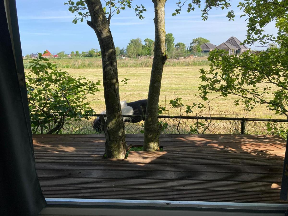 Het Oude Strandhuis Uitgeest ภายนอก รูปภาพ